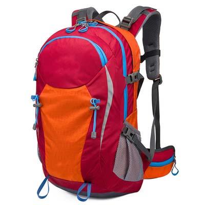 China Anti-theft Backpack Pack with 2L Bladder for Running Hiking, Cycling Outdoor Sports Bag Travel Backpack Laptop Backpack for sale