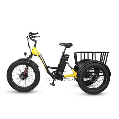 China Standard 3 Wheels Tricycle With 40km Range Electric Tricycles 48v 500w e Trikes for sale