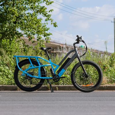 China Rear Electric Motor Standard Cargo Bike 750W Bafang Powerful Two Speed ​​Seat Cargo Ebike for sale