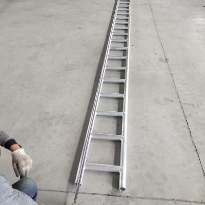 China Tai Aluminum Modern Customizable Long Alloy Straight Ladder for sale