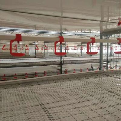 China Complete Automatic Broiler Cage And Poultry Cages Use For Hens Chicken Cages for sale