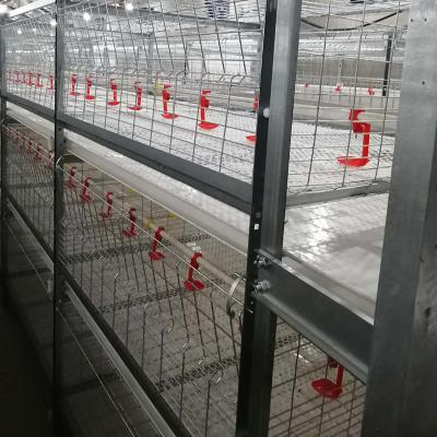 China Easy Install Modern Design Poultry Farm House Automatic Galvanized Layer Battery Chicken Cages For Sale Russia Philippines Thailand Peru for sale