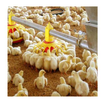 China Complete Automatic Animal Feeders Poultry Chicken Feeder System For Chicken for sale