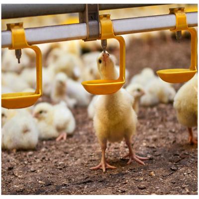 China Hot Selling Automatic Complete Other Animal Husbandry Equipment Chicken Farm for sale