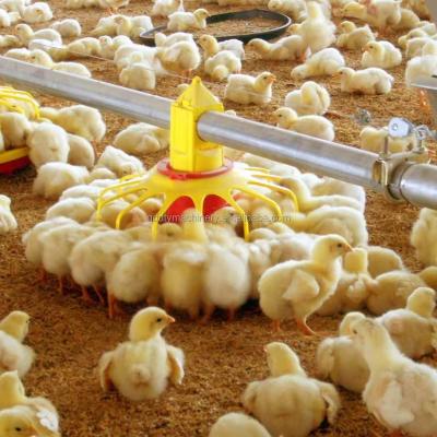 China Savings Multiplying Cost Automatic Chicken Pan Feeding System For Poultry Farm Feeding Pan Equipment for sale