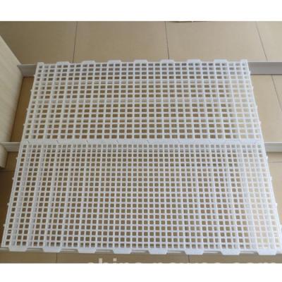 China Long life-sapn best selling popular chicken broiler and plastic layer floor use for poultry animal floor for sale