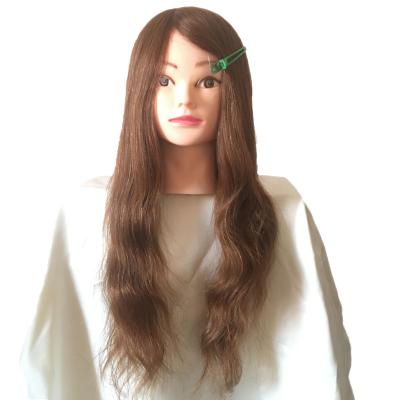 China Other factory wholesale beauty school mannequin heads with 100% natural hair for sale