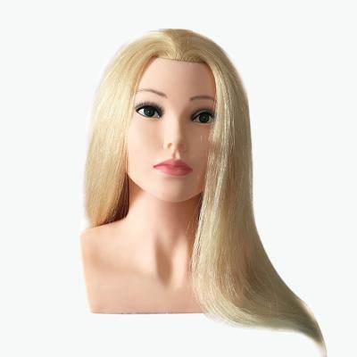 China Natural Human Hair Wigs Shaping Mannequin Hair Practice Head Head for sale