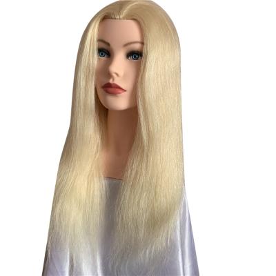 China Training Natural Mannequin Hair Master Hair Stylist for sale