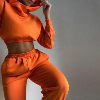 China Autumn Winter Two Piece Women Anti-Static Sweatsuit Pants Two Piece Set Hoodie Long Sleeve Set Anti-Static Women Two Piece Tracksuit for sale