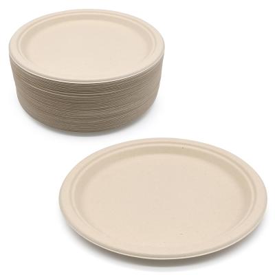 China Minimalist NPFSW7008 China Manufacturer New Custom Biodegradable Sugar Cane Bagasse Pulp Disposable Cheap Disposable Dish for sale