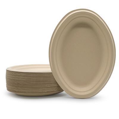 China BPFS10018 Minimalist Food Grade Durable Biodegradable Custom Sugar Cane Bagasse Pulp Disposable Cheap Disposable Dish for sale