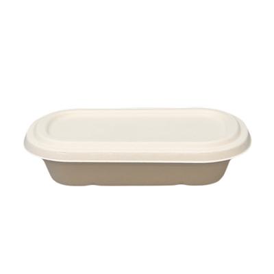 China NTBX75018 Food Sugar Cane Bagasse Pulp 2 Compartment Eco-Friendly Disposable Lunch Box Biodegradable Container Lunch Bowl for sale