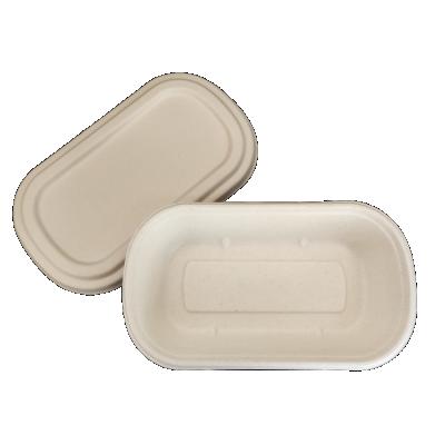 China NTBX75018 Minimalist Japanese Style Eco-friendly Wholesale Biodegradable Disposable Sugarcane Bagasse Salad Lunch Box for sale