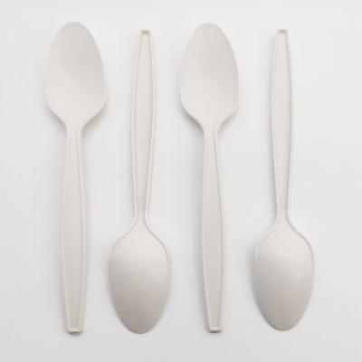 China DLS-03N Wholesale White Disposable Eco-friendly Modern Deli Cornstarch Oil-Repellent Biodegradable Spoon for sale