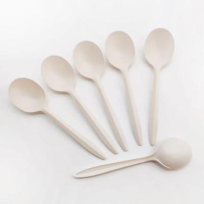 China DLS-01 Wholesale Eco-Friendly White Disposable Biodegradable Oil Repellant Deli Cornstarch Soup Spoon for sale