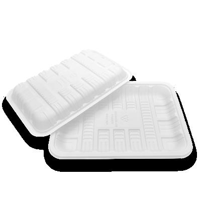 China Eco-Friendly Minimalist TP220A High Quality Disposable Biodegradable Compostable Food Container Cornstarch White Tray for sale