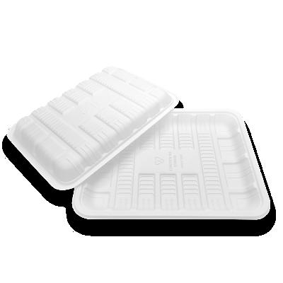 China TP-235 Biodegradable Minimalist TP-235 White Square Disposable Plastic Container 215*140*15mm Square White for sale