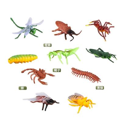 China Present ; 2021 Hand Made Insect World Realistic Mini Toys Series Small Natural Model Collection China Factory PVC Animal Toys Collection Children for sale