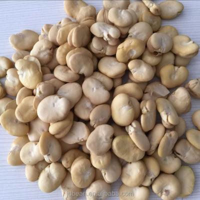 China Dry Split Broad Beans High Quality Whole Shelled Broad Beans Price for sale