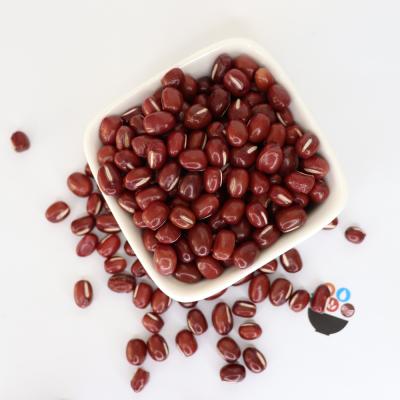 China Small Dry Organic Vacuum Packing Red Adzuki Beans / Vigna Small Red Beans Umbellata for sale