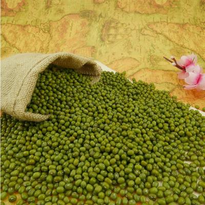 China Dried Chinese Green Mung Beans / Mung dal Mung Beans / Green Beans for sale