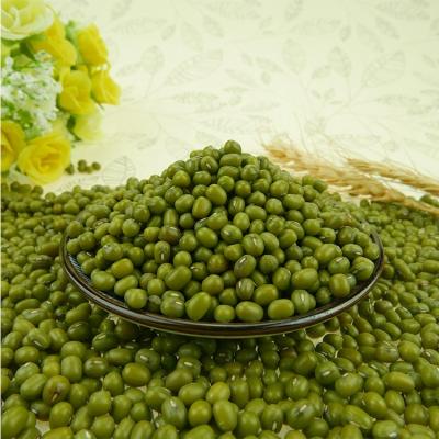 China Export green mung beans dry mung beans green mung price for sale