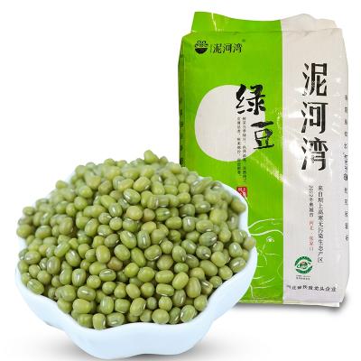 China Export vigna green moong green gram dry green bean mung beans price for sale