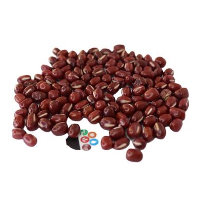 China Kacang Dried Merah Dried Small Red Adzuki Beans for sale