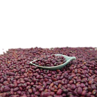 China Dried Red Beans Dried Black Eyed Red Beans Cowpea Red Beans for sale