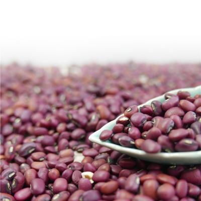 China Cowpea cowpea black eyed black cowpea bean cowpea cowpea fresh cowpea cowpea for sale