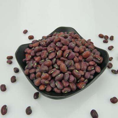 China Best Dried Chinese Red Cowpeas for sale