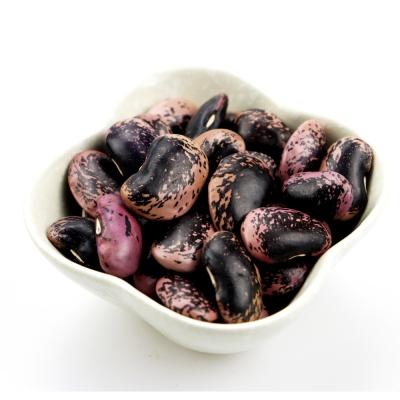 China Large Dried Chinese Black Spotted Kidney Beans With Different Size LBSKB for sale