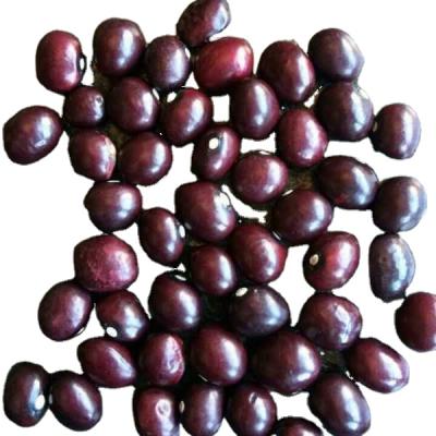 China Dried 2021 ZISHA Chinese Organic Purple Red Kidney Beans for sale