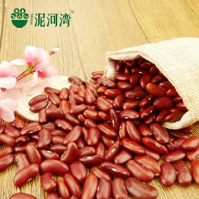 China Dark red bush bean dry types of Chinese big size bush bean good prices for sale