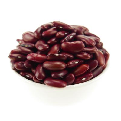 China Hot selling dark red kidney beans dry large size with HPS 180-220 grains for 100g for sale