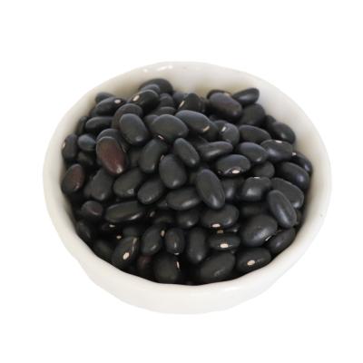 China Chinese Dried Black Bean Dwarf Black Kidney Beans for sale