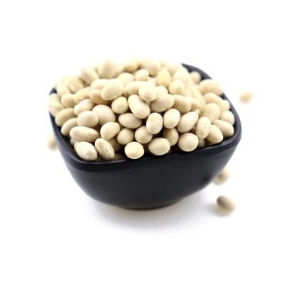 China White Pearl Bean Flageolet Dwarf Bean Chinese Dry Price for sale