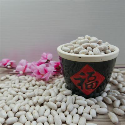 China Flageolets best quality dried white chinese flageolet price for sale