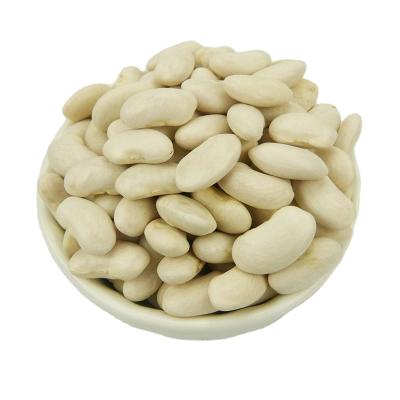 China New season dry white kidney bean for food for sale