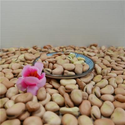 China Organic dry bean for sale