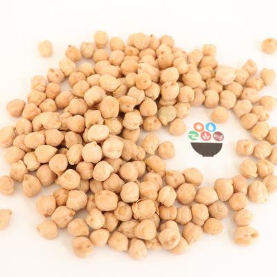 China Dry Kabuli Chickpea Chinese White Yellow Chickpea Beans for sale