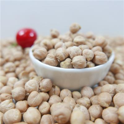 China Chinese New Crop Dried Export Hot Sale Dried Chickpea for sale