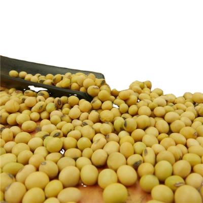 China New Culture 2021 Light Yellow Soybean Dried Chinese Origin Pulses Beans Scientific Name for sale