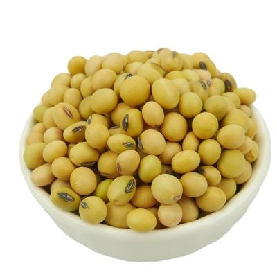 China Nihewan Organic Soybeans Non-GMO Soybeans Wholesale Dried Yellow Soybeans for sale