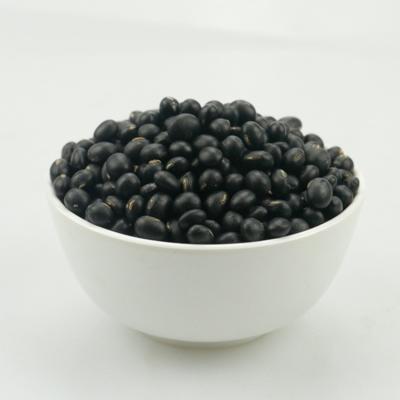 China Factory Wholesale Dry Chinese Nihewan Type 6.5mm Big Black Turtle Soybeans For Sale for sale