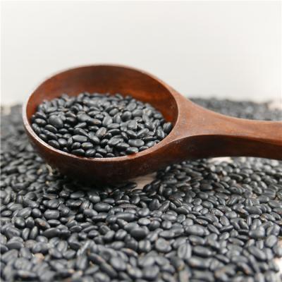 China China Origin Small Black Lentils Dry Black Soybeans for sale