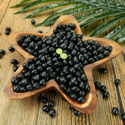 China NON-GMO Chinese Black Soy Bean Organic Soy Dried Hot Selling for sale