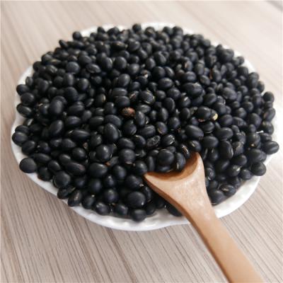 China Large Dry HPS Black Beans /black Soybeans Black Soybeans With Green Cores for sale