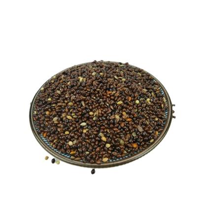 China 2020 dry culture /yellow white /black/red millet for bird feed for sale